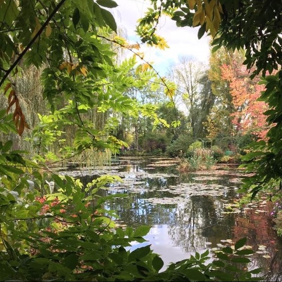 Meet your Posher, Rene - Picture 1 of 1